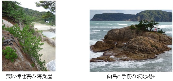 大神ケ崎の海食崖と波蝕棚